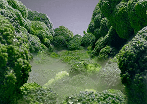 LG Frigorífico wifi GBB72SWUCN1 Blanco Tus alimentos tan frescos como el primer día