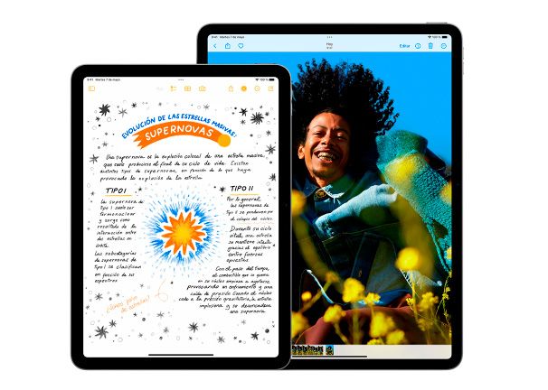 iPad Air 11'' (2024) M2 Wi-Fi precio. Desbloqueo y pagos con Touch ID