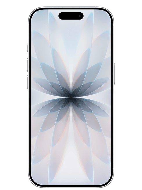 iPhone 17 256 GB iPhone 17 256 GB