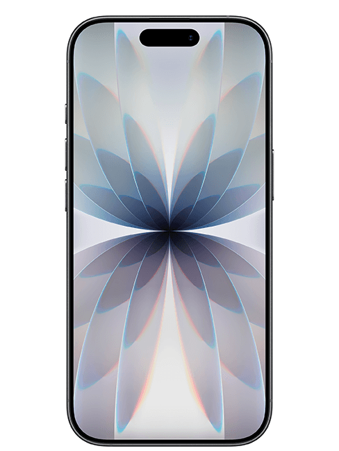 iPhone 17 256 GB iPhone 17 256 GB