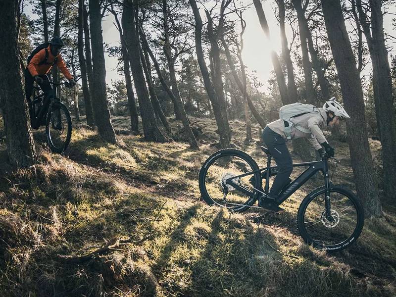 Bicicleta eléctrica Grand Canyon:ON AL 7 Talla M Vive nuevas aventuras sobre ruedas