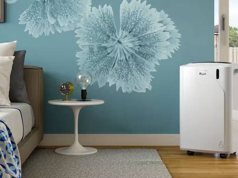 Aire acondicionado portátil De'Longhi Pinguino PAC EM82 - Panel con botones de tacto suave Aire acondicionado portátil De'Longhi Pinguino PAC EM82 Panel con botones de tacto suave