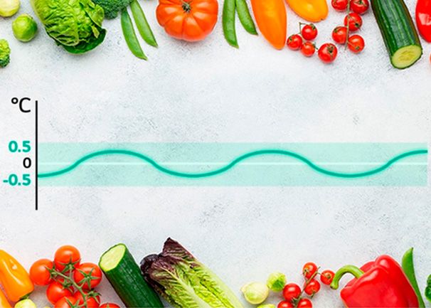 Frigorífico LG GBV3200CPY Alimentos frescos hasta 7 días