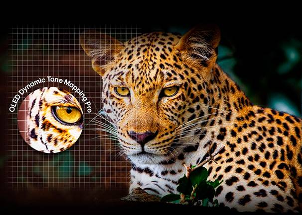 Smart TV LG OLED55C56LB 55'' - Máxima nitidez, brillo y contraste Smart TV LG OLED55C56LB 55'' Máxima nitidez, brillo y contraste