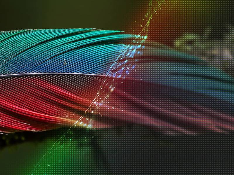 LG 50NU850B6LA - Descubre todos los detalles de la imagen gracias la tecnología exclusiva NANO 4K LG 50NU850B6LA Descubre todos los detalles de la imagen gracias la tecnología exclusiva NANO 4K