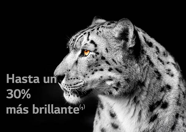 LG OLED65C46LA LG OLED evo con Brightness Booster