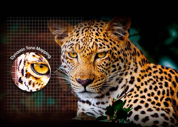 Smart TV LG 75QNED80A6A 75'' - Máximo brillo y contraste Smart TV LG 75QNED80A6A 75'' Máximo brillo y contraste