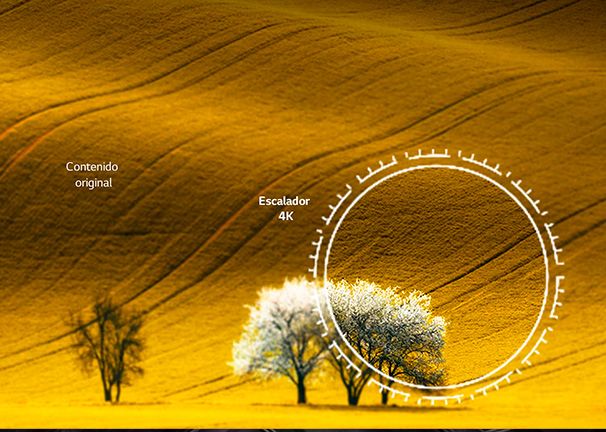LG 43UR78 - Reescala el contenido a 4K LG 43UR78 Reescala el contenido a 4K