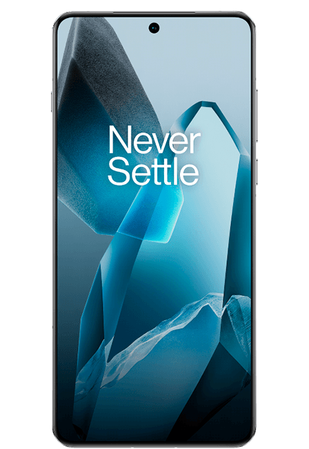 OnePlus 13
