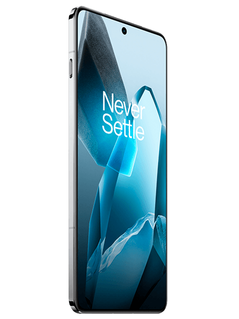 OnePlus 13
