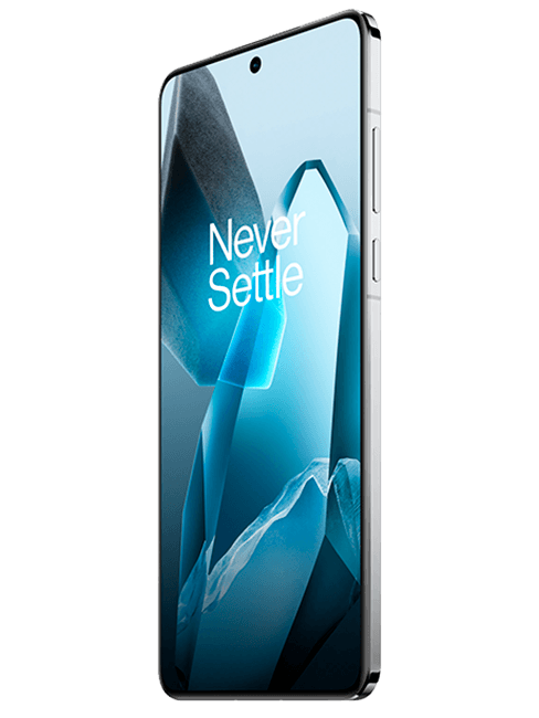 OnePlus 13