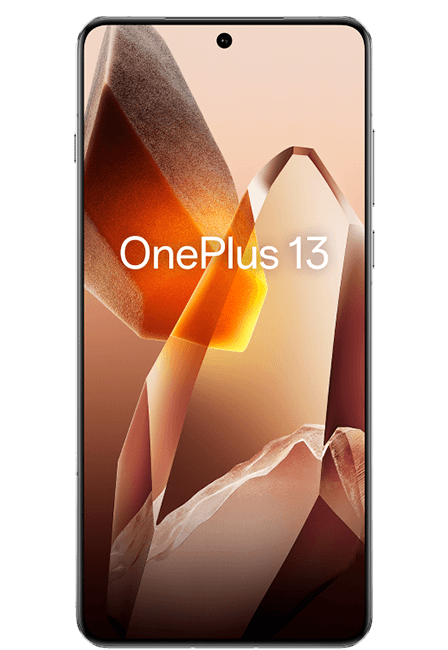 OnePlus 13