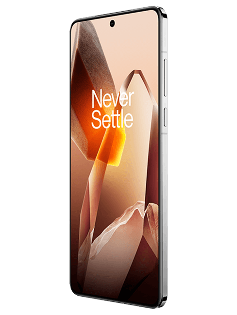 OnePlus 13