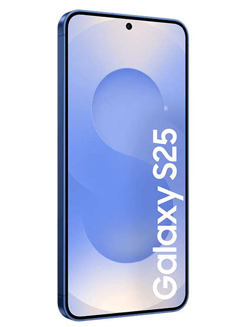 Samsung Galaxy S25 256 GB