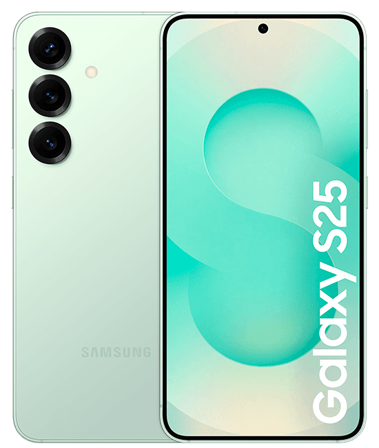 Samsung Galaxy S25 256 GB