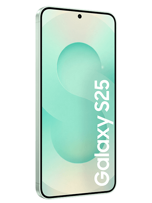 Samsung Galaxy S25 256 GB