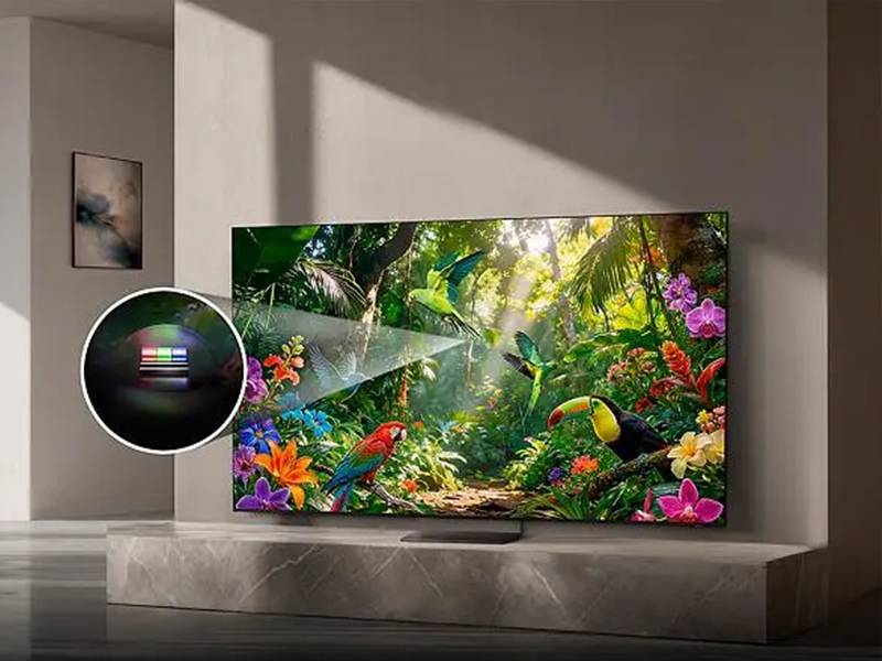 Smart TV Samsung TQ65QN73HAUXXC 65'' - Hasta los detalles más escondidos Smart TV Samsung TQ65QN73HAUXXC 65'' Hasta los detalles más escondidos