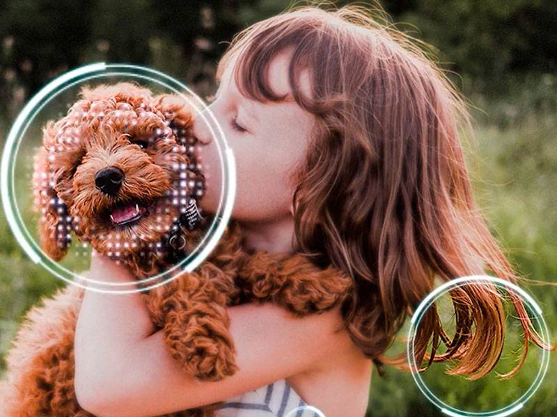 Samsung TQ65QN74FATXXC Imágenes mejoradas por AI