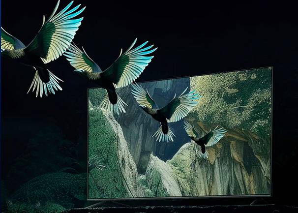 Xiaomi TV S mini LED 55'' - Tasa de refresco 4K de 144 Hz Xiaomi TV S mini LED 55'' Tasa de refresco 4K de 144 Hz