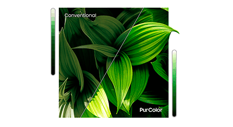 Samsung UE32T4305AEXXC precio. PurColor