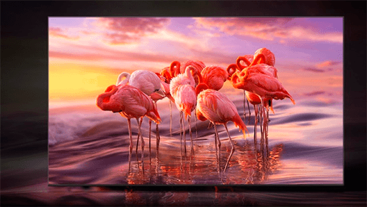 Samsung QE55Q65AAUXXC reacondicionado Tecnología Quantum HDR10+