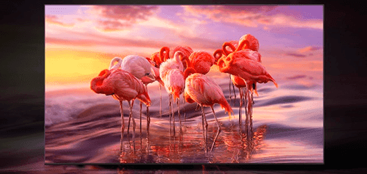 Samsung QE55Q65BAUXXC - Disfruta nuevos niveles de contraste y detalle en cada imagen Samsung QE55Q65BAUXXC Disfruta nuevos niveles de contraste y detalle en cada imagen