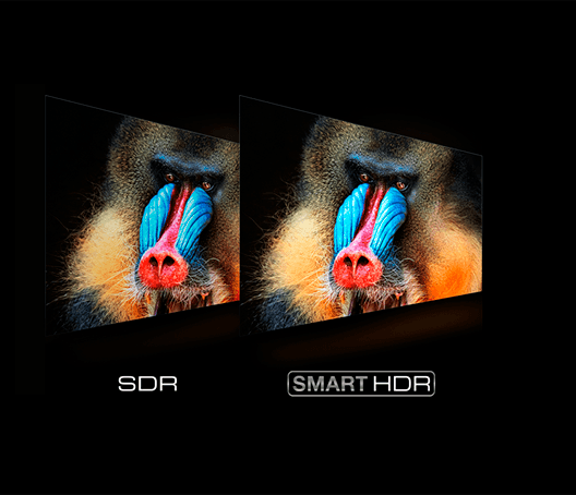 Smart TV TCL 65P615 precio. SMART HDR mejora el HDR nativo y convierte el SDR en HDR