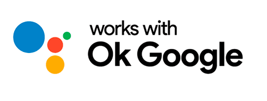 JVC 43VAQ6100 Google Assistant: controla tu JVC QLED TV por voz