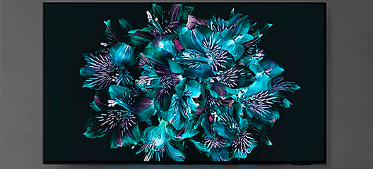 Samsung TQ55S92CATXXC Pantalla Antirreflejos