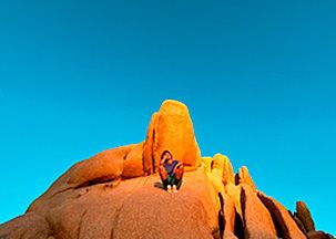 iPhone 11 64 GB HDR Inteligente de última generación