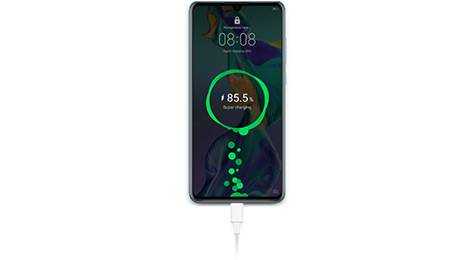 Huawei P30 black 128 GB con Band 3e de regalo - Disfruta a lo grande con todas sus características Huawei P30 black 128 GB con Band 3e de regalo Disfruta a lo grande con todas sus características