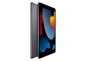 iPad 10.2'' (2021) 9ª gen Wi-Fi + Cellular 256 GB precio. Avisos legales