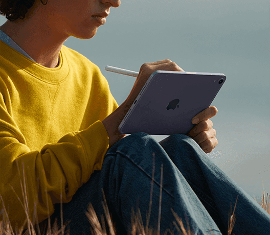 iPad mini (2021) Wi-Fi + Cellular 64 GB Avisos legales