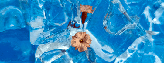 Oppo A91 azul 128 GB - 3-8CM Macro Oppo A91 azul 128 GB 3-8CM Macro