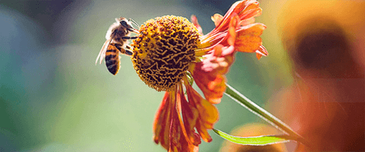 Samsung Galaxy A14 - Todo lo que te gusta en colores vibrantes Samsung Galaxy A14 Todo lo que te gusta en colores vibrantes