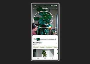 Samsung Galaxy S24 Ultra Rodea para buscar con Google