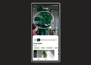 Samsung Galaxy S24 Ultra - Rodea para buscar con Google Samsung Galaxy S24 Ultra Rodea para buscar con Google