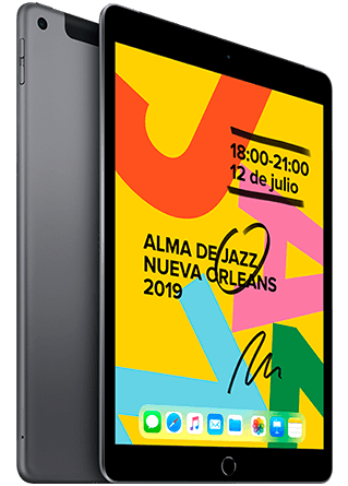 iPad Wi-Fi + Cellular (7ª gen) 32GB Gris iPad Wi-Fi + Cellular (7ª gen) 32GB Gris