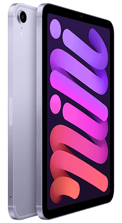 iPad mini (2021) Wi-Fi + Cellular 64 GB