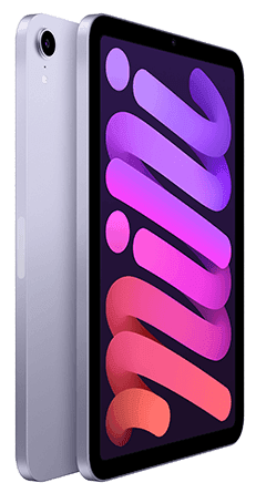 iPad mini (2021) Wi-Fi 256 GB