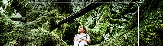 Samsung Galaxy A52 negro 128 GB - Cámara ultra gran angular, experiencias ultra grandes Samsung Galaxy A52 negro 128 GB Cámara ultra gran angular, experiencias ultra grandes