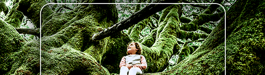 Samsung Galaxy A52 negro 128 GB - Cámara ultra gran angular, experiencias ultra grandes Samsung Galaxy A52 negro 128 GB Cámara ultra gran angular, experiencias ultra grandes