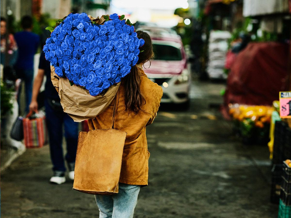 Fibra 300 sin permanencia Fibra 300 sin permanencia