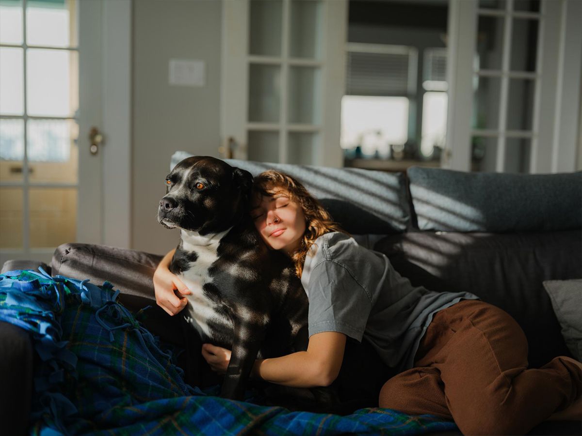 Fibra 600 sin permanencia