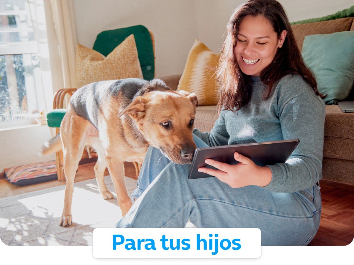 Fibra Adicional 300 mb