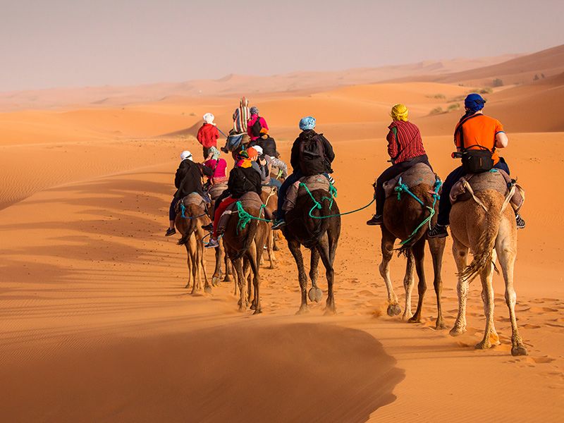 Roaming Marruecos & Otros