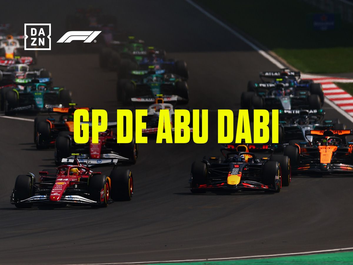FORMULA 1 Gran Premio abu dabi FORMULA 1 Gran Premio abu dabi