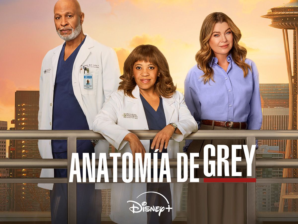 ANOTOMÍA DE GREY  en Disney+