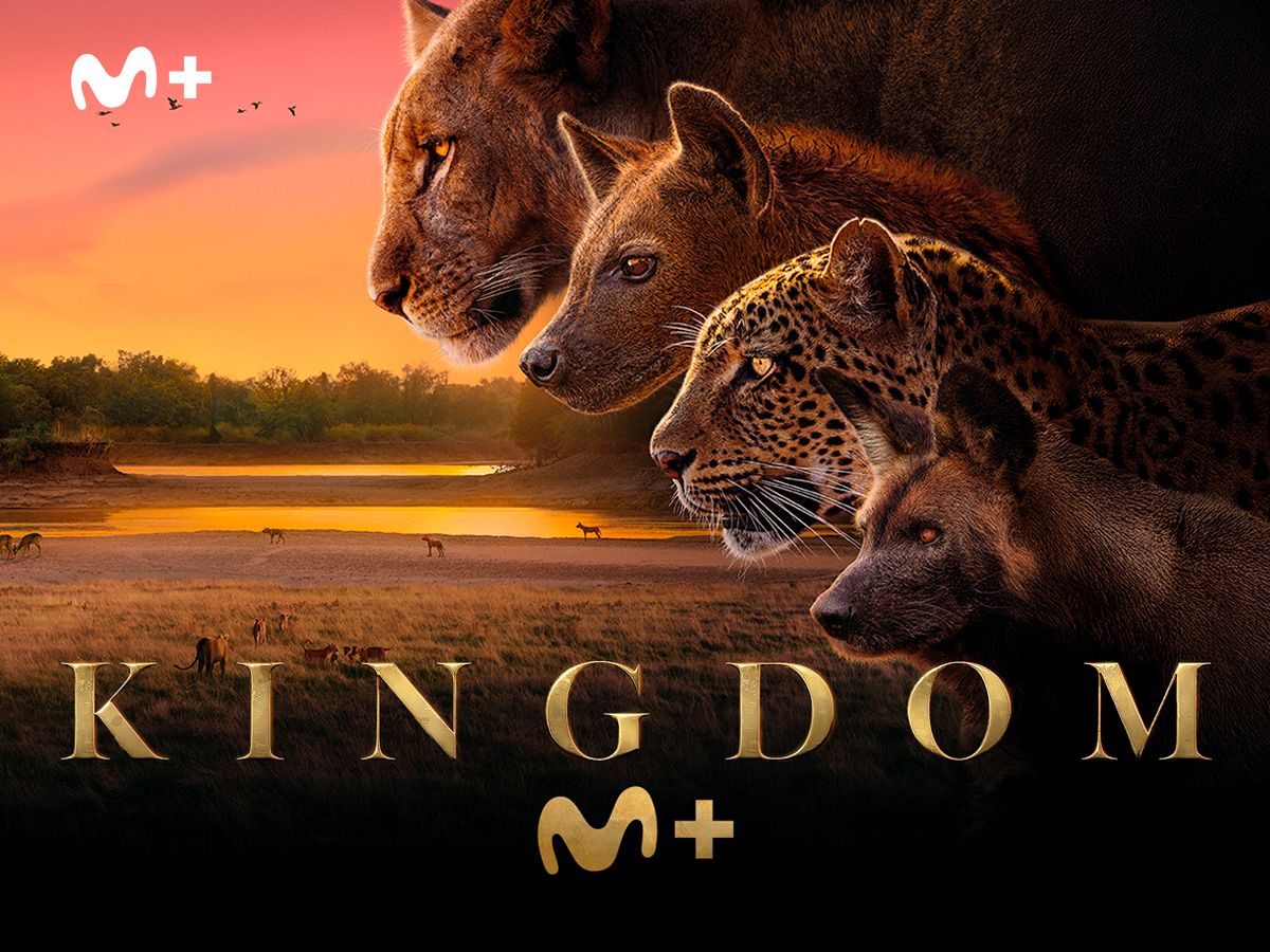 KINGDOM en Movistar Plus+