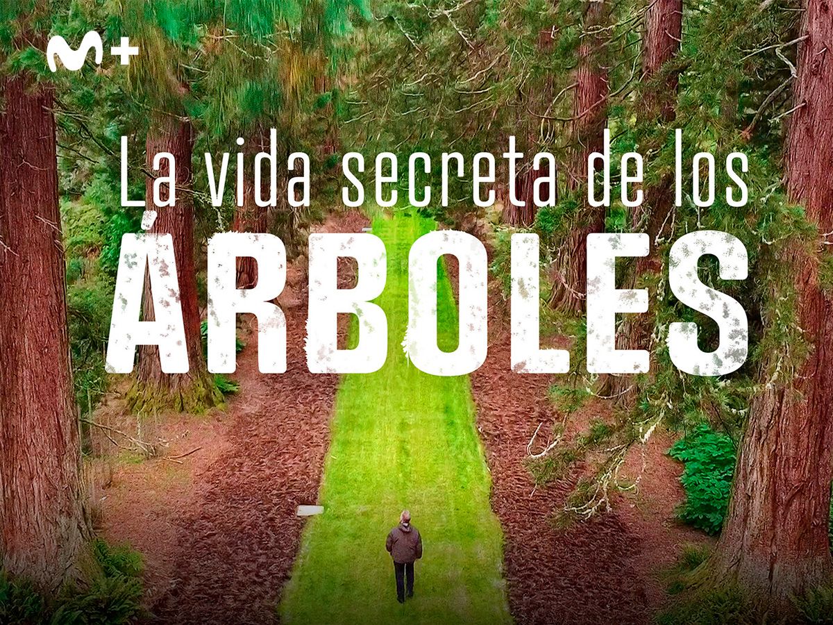 LA VIDA SECRETA DE LOS ÁRBOLES en Movistar Plus+